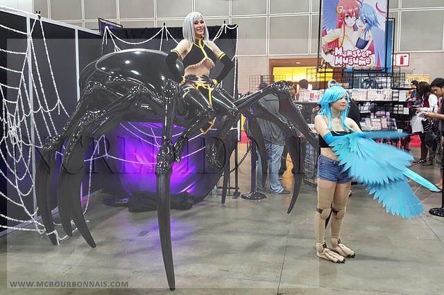 https mcbourbonnais.com wp-content uploads 2017 05 MC Bourbonnais Rachnera Monster Musume Cosplay03