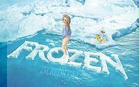 Frozen (48wa)